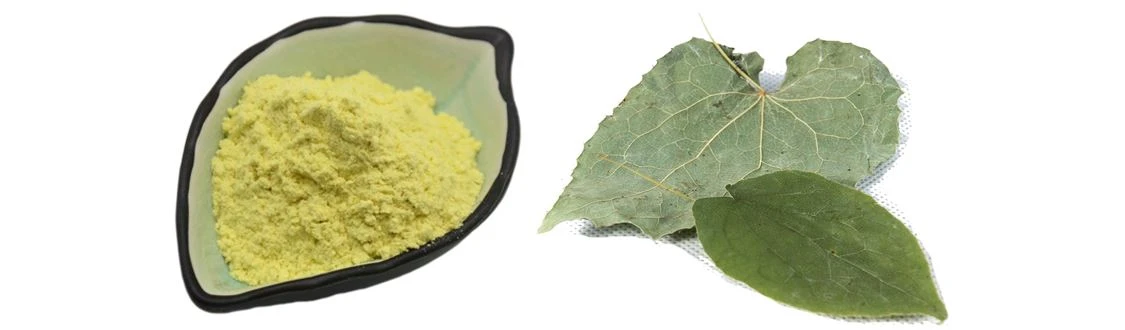 Horny Goat Weed Extract 98% ICARIIN by Botanical Cube Inc(3)
