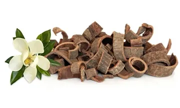 Apakah Kebaikan Ekstrak Kulit Magnolia?