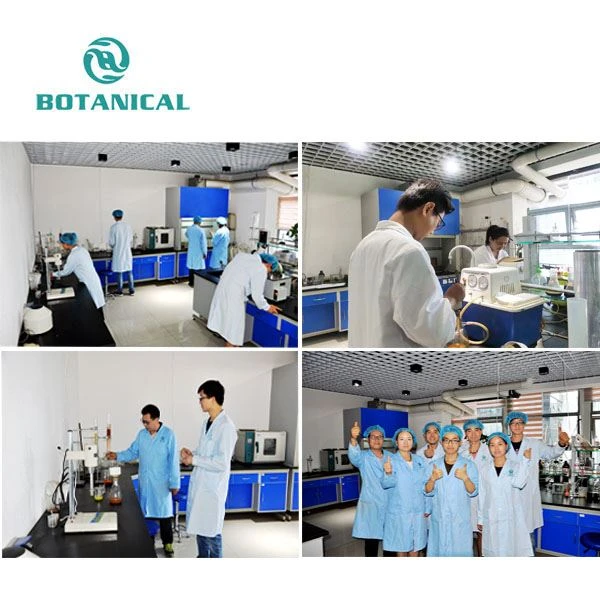 Water Soluble Ginger Extract
