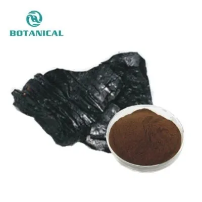 Shilajit extract Shilajit extract