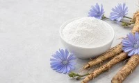 Bagaimana Memilih Inulin Chicory Untuk Makanan Tambahan Kesihatan Usus?